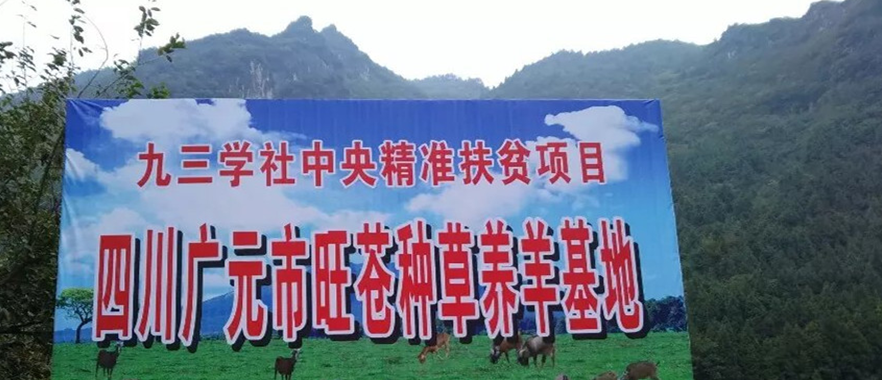 2016081807593600.png QQ图片20160818075922.png