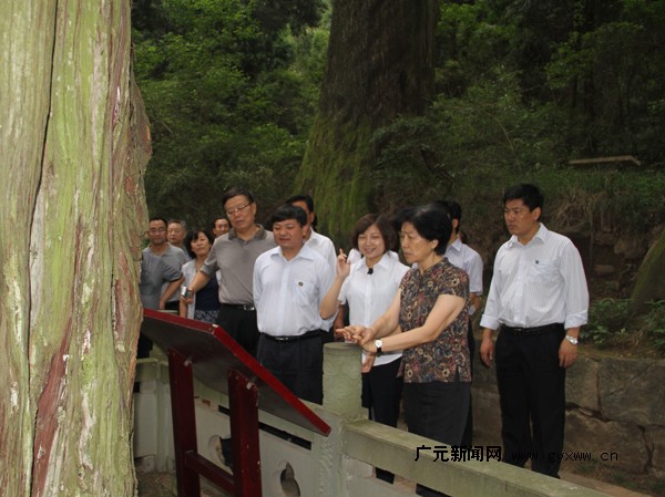 2016082709125409.jpg 20100901王志珍赖明一行在翠云廊考察调研.jpg