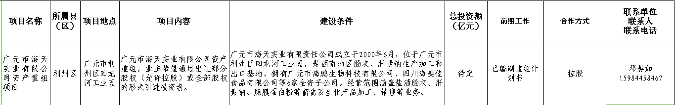 广元市海天实业有限公司资产重组项目.png