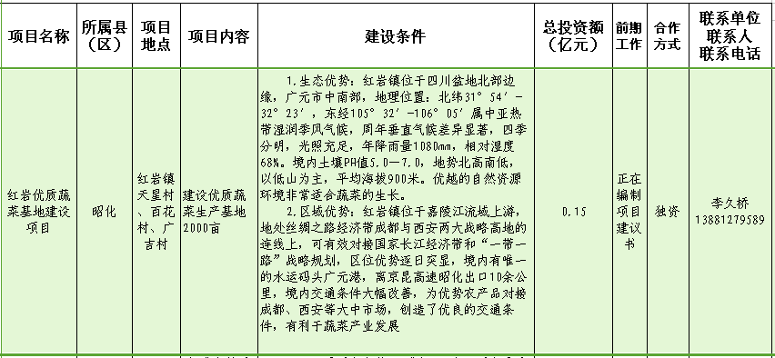 红岩优质蔬菜基地建设项目.png