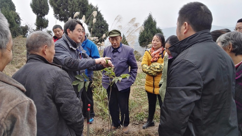 2016113013441504.jpg 现场培训.jpg