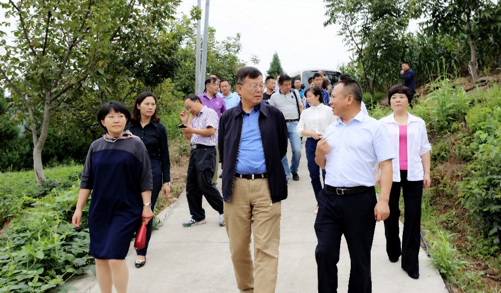 2017091022004601.jpg 副市长、昭化区委书记陈正永陪同调研五房村.jpg