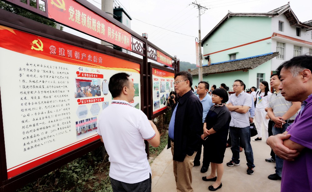 柳桥乡普子村党建引领集体经济发展助脱贫.jpg