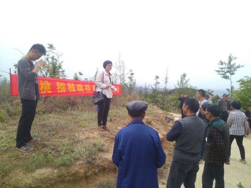 2018041713103709.jpg QQ图片20180417130735.jpg