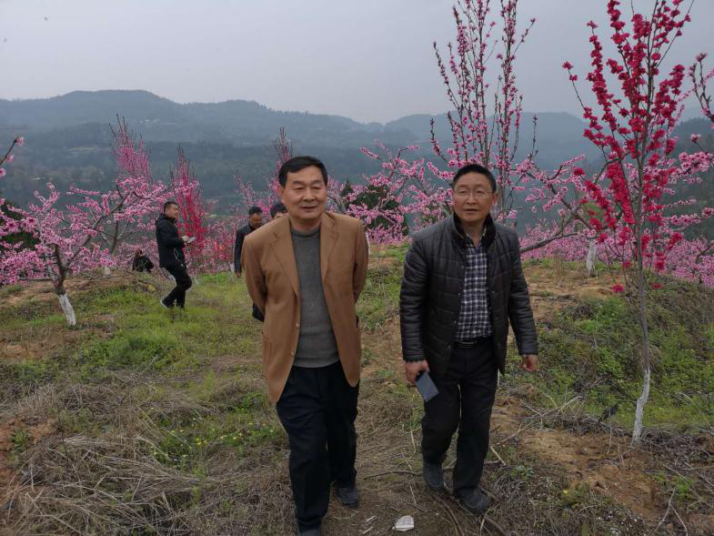 2019032916384901.png 图片1.png