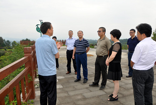 DSC_500_副本.jpg DSC_500_副本.jpg