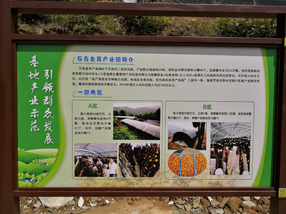 2019080509181108.jpg QQ图片20190802100637.jpg