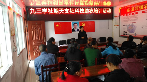 图片1_副本.png
