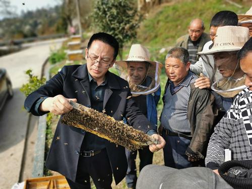 2022032116233207.png 图片2_副本.png