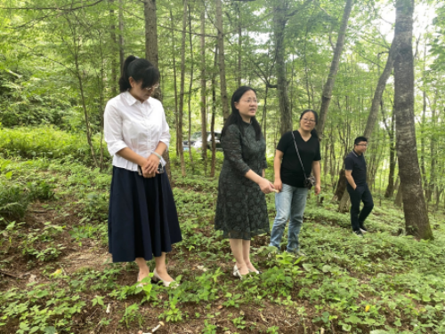2024080709071802.png 图片1(23).png