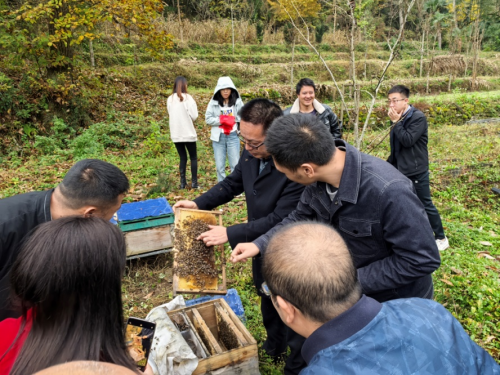 2024111310523501.png 图片2.png