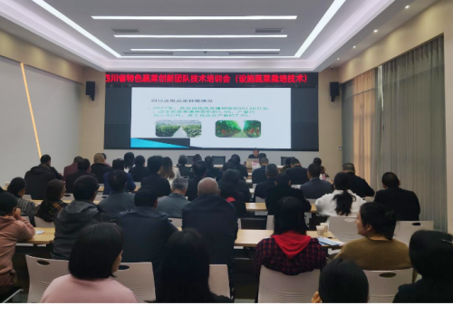 2024112815114904.png 图片1(90).png