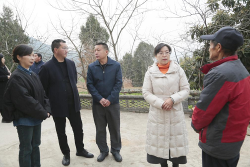 2025012309363608.png 图片1(4).png