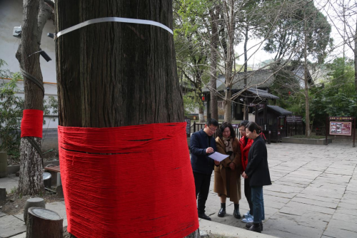2025031116004309.png 图片1(30).png