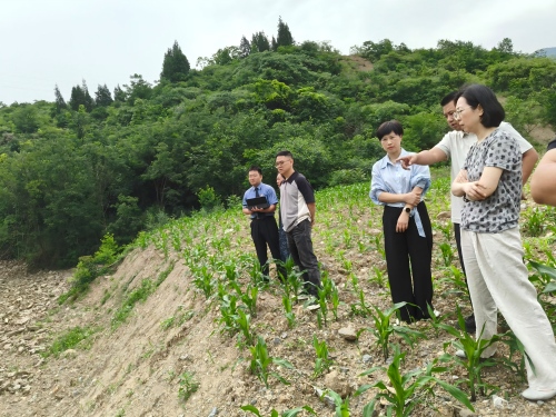 图片1(11).jpg